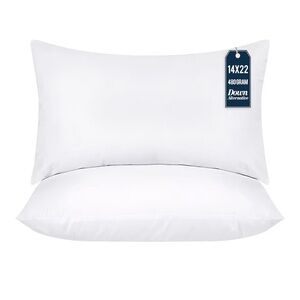 2 White Pillow Inserts